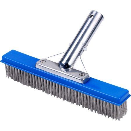 Algae Brush